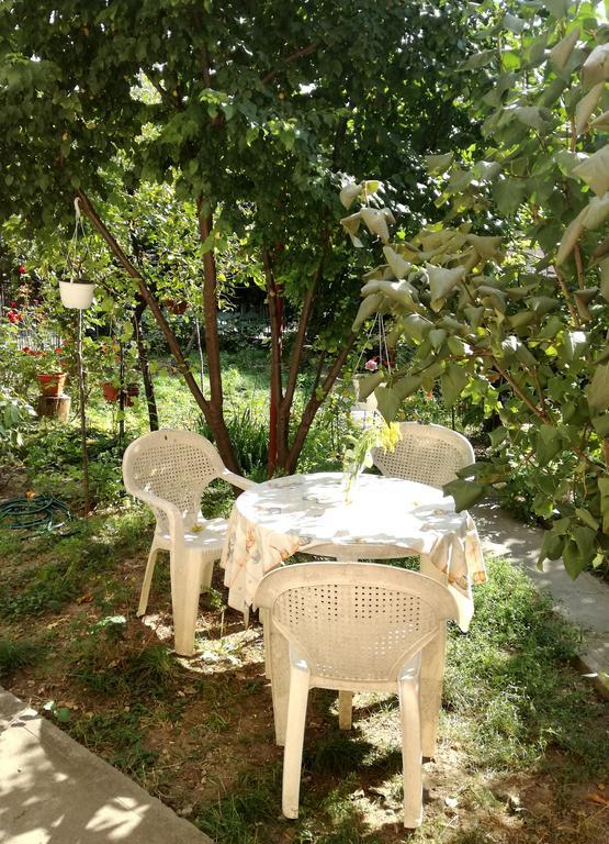 Casa Dragalina Otel Kaloşvar Dış mekan fotoğraf